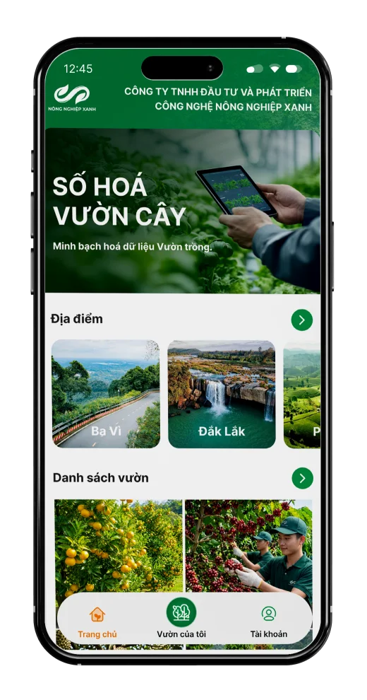 Giao diện ứng dụng số hoá NNX 3